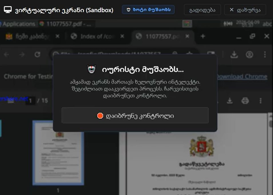 The virtual screen: the bot working inside the court portal, reading a ruling